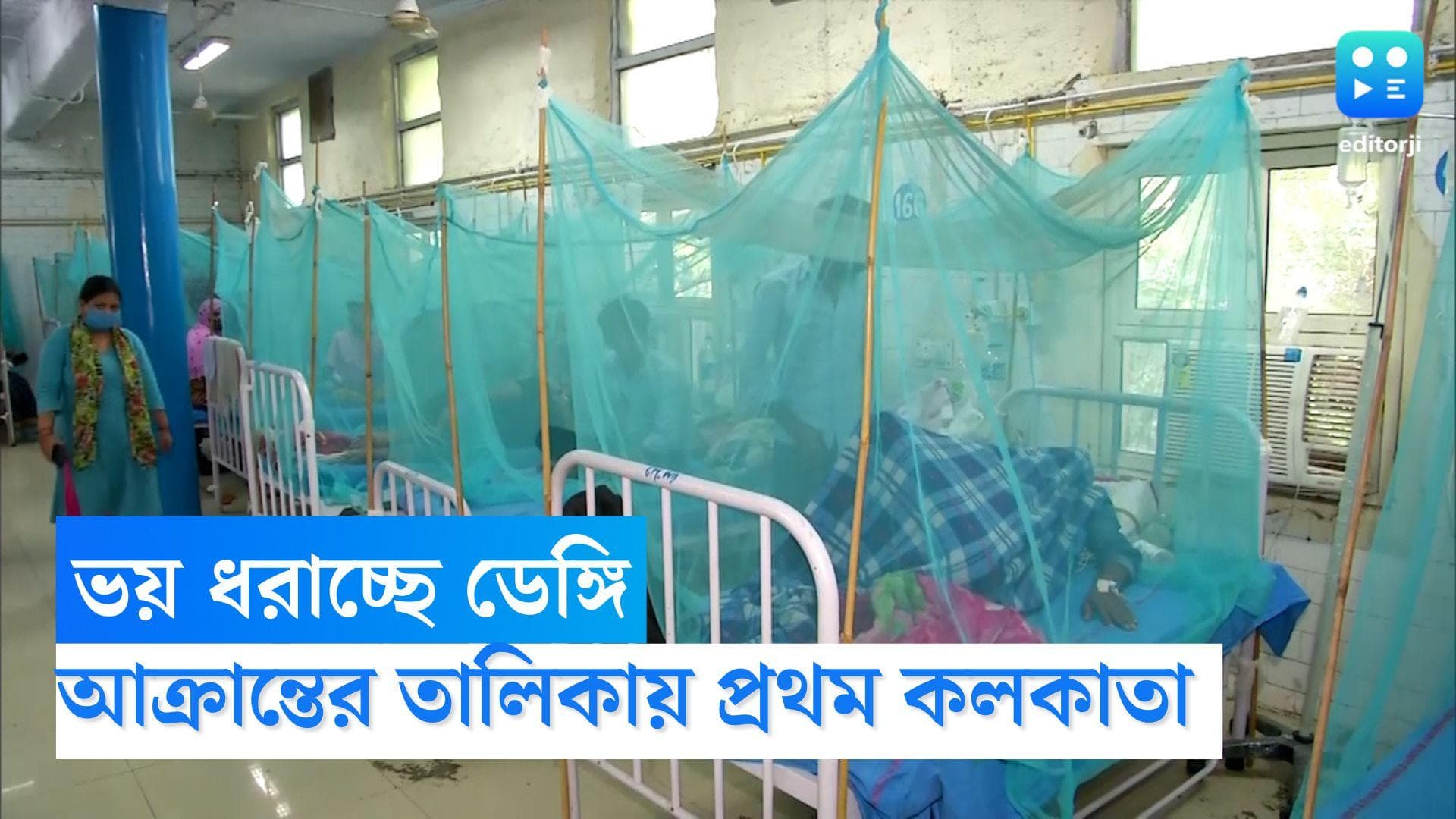 Dengue Cases in Kolkata: ভয় ধরাচ্ছে ডেঙ্গি, আক্রান্তের সংখ্যাবৃদ্ধিতে শীর্ষে কলকাতা পুর এলাকা