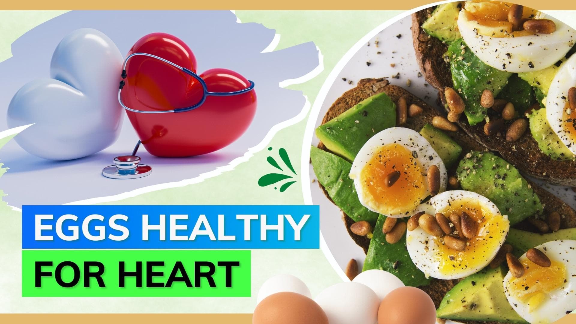 Study connects consumption of eggs with heart health; find out more