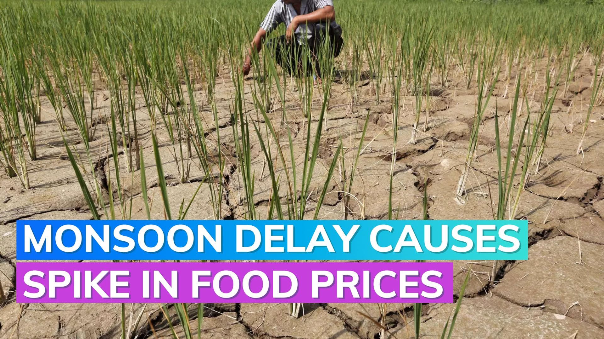 Food prices rise amid a delay in the monsoons 