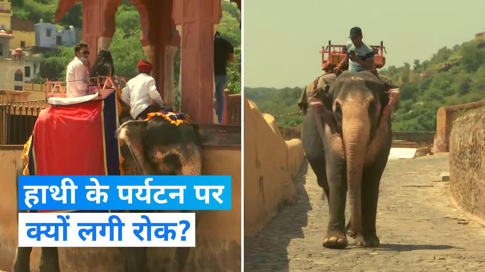 Rajasthan News: जयपुर के आमेर महल में हाथी की सवारी और रात्रिकालीन पर्यटन पर रोक, जानिए वजह