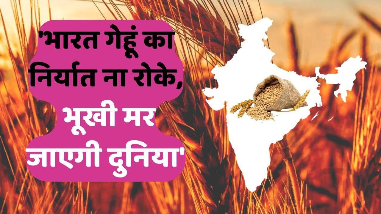Wheat Export : कभी भारत को 'भिखारियों का देश' कहने वाला अमेरिका, गेहूं के लिए क्यों गिड़गिड़ा रहा?