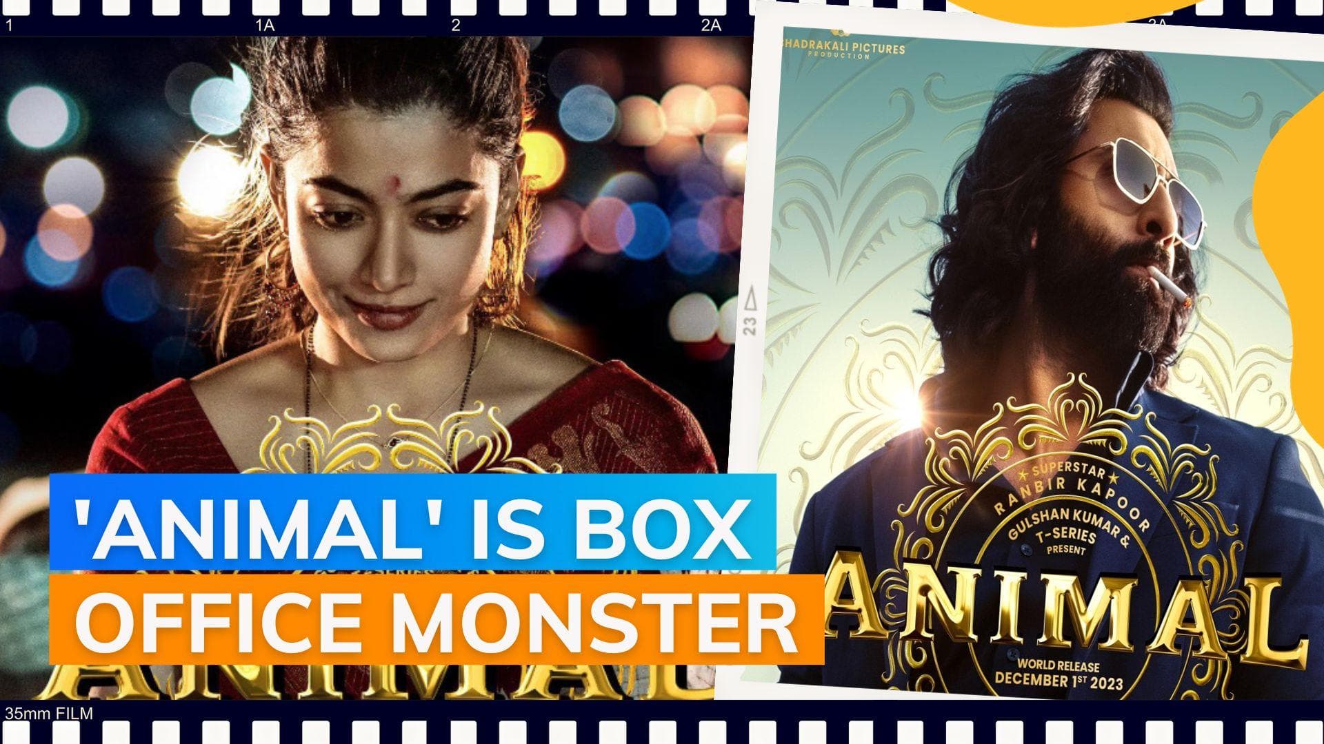  'Animal' Day 2 box office collection : Ranbir Kapoor starrer roars, grosses THIS much