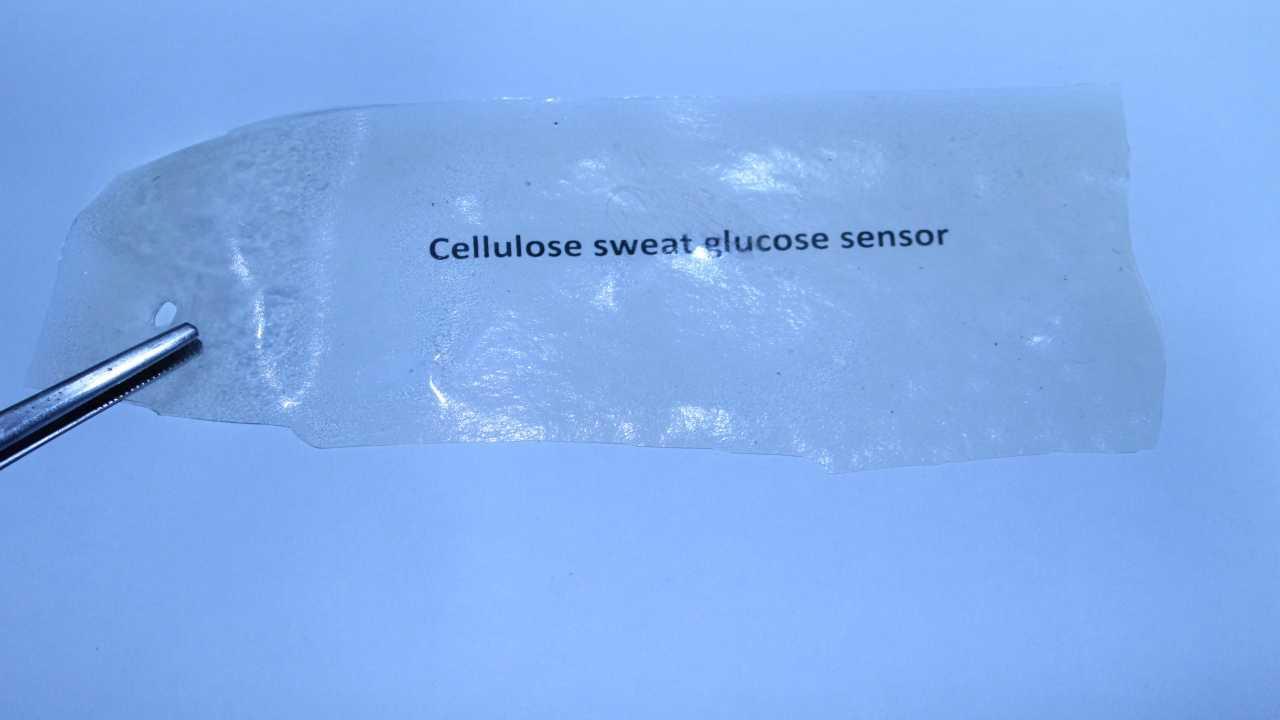 Biodegradable skin patch to monitor blood sugar from sweat: Find out how!