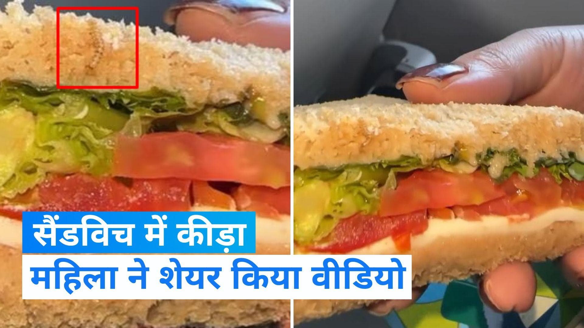 Indigo: इंडिगो की फ्लाइट में खाने में मिला कीड़ा, देखिए video