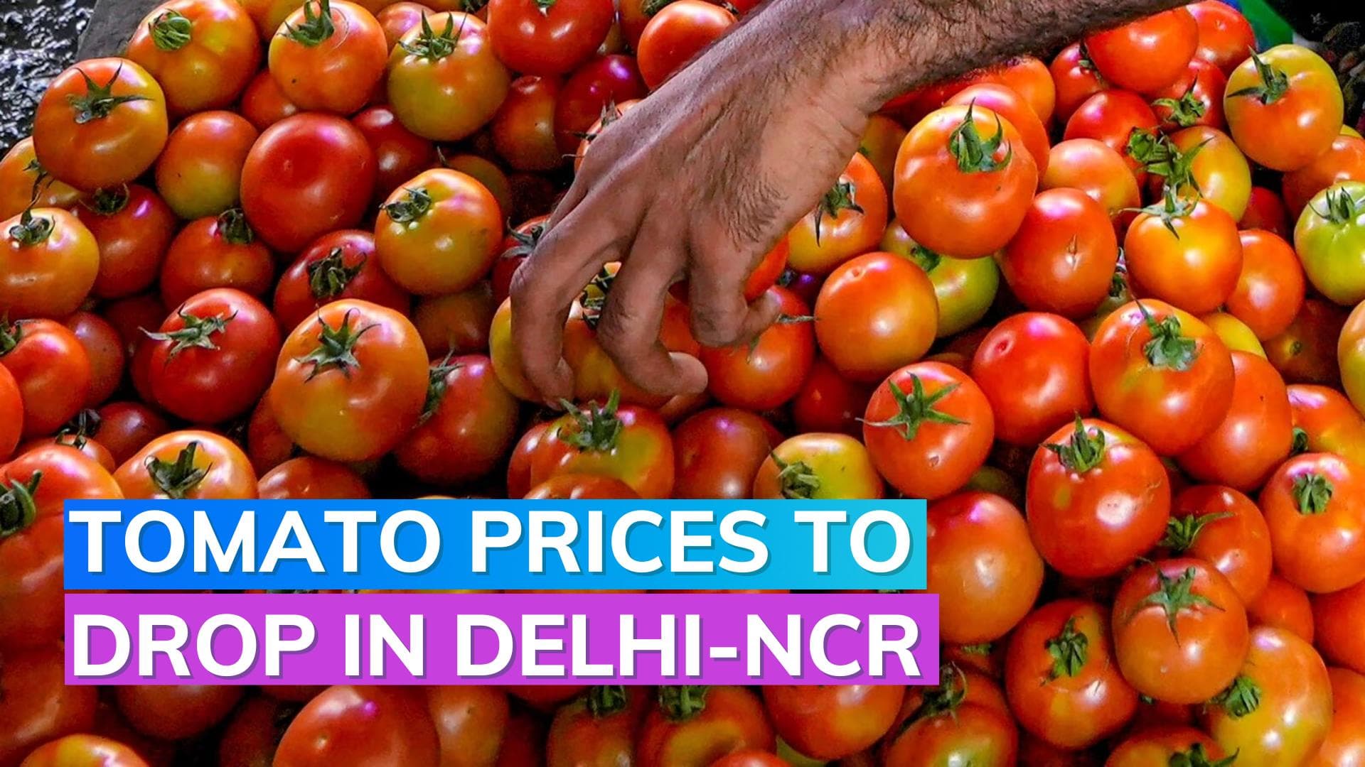 Tomatoes to sell at ₹70/kg in Delhi-NCR: Nirmala Sitharaman 
