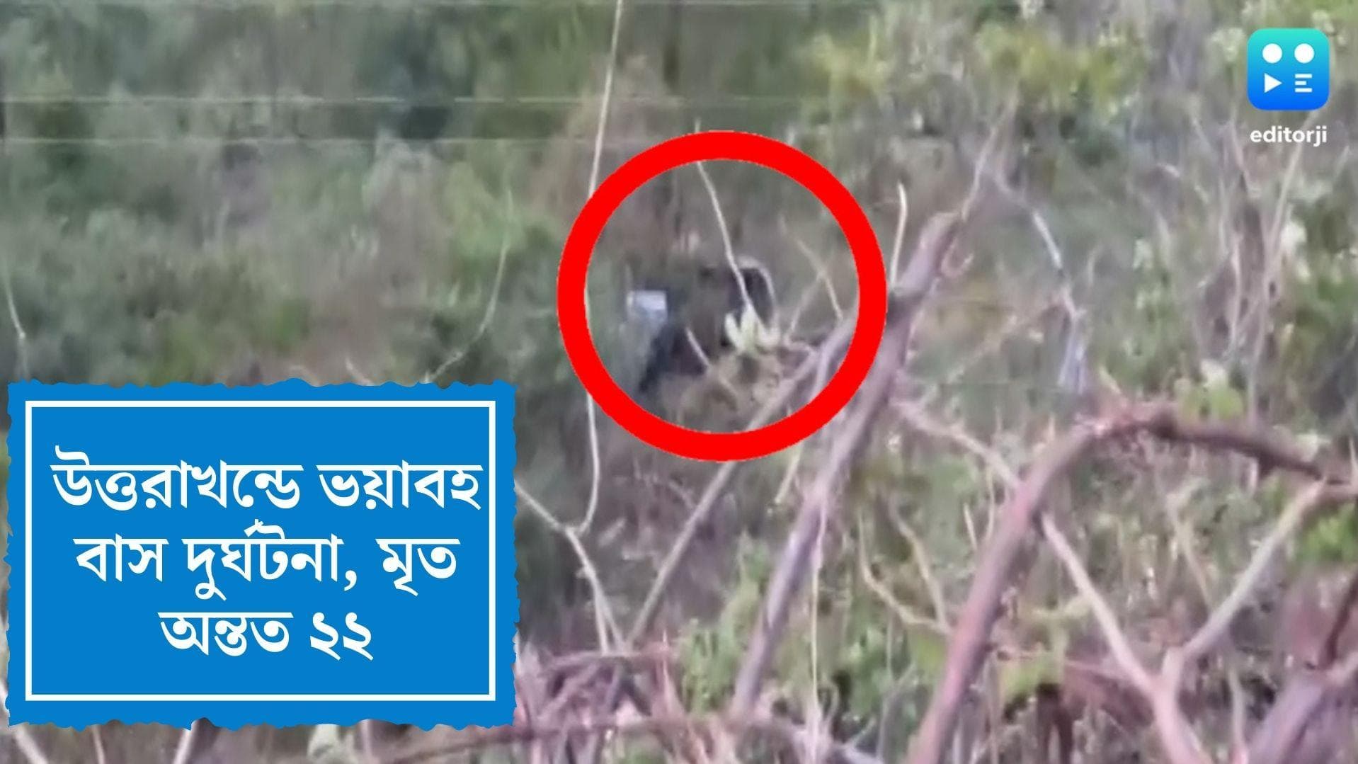 Uttarakhand Bus Accident: উত্তরাখণ্ডের খাদে তীর্থযাত্রি বোঝাই বাস, মৃত অন্তত ২২