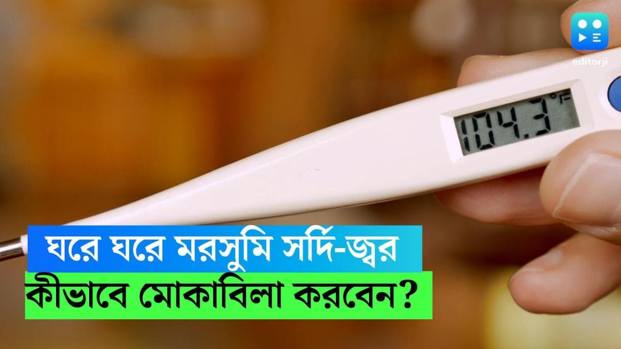 Viral Fever: শীতের মুড স্যুইং, প্রবল দূষণ! ঘরে ঘরে মরসুমি সর্দি-জ্বর, কীভাবে মোকাবিলা করবেন?  