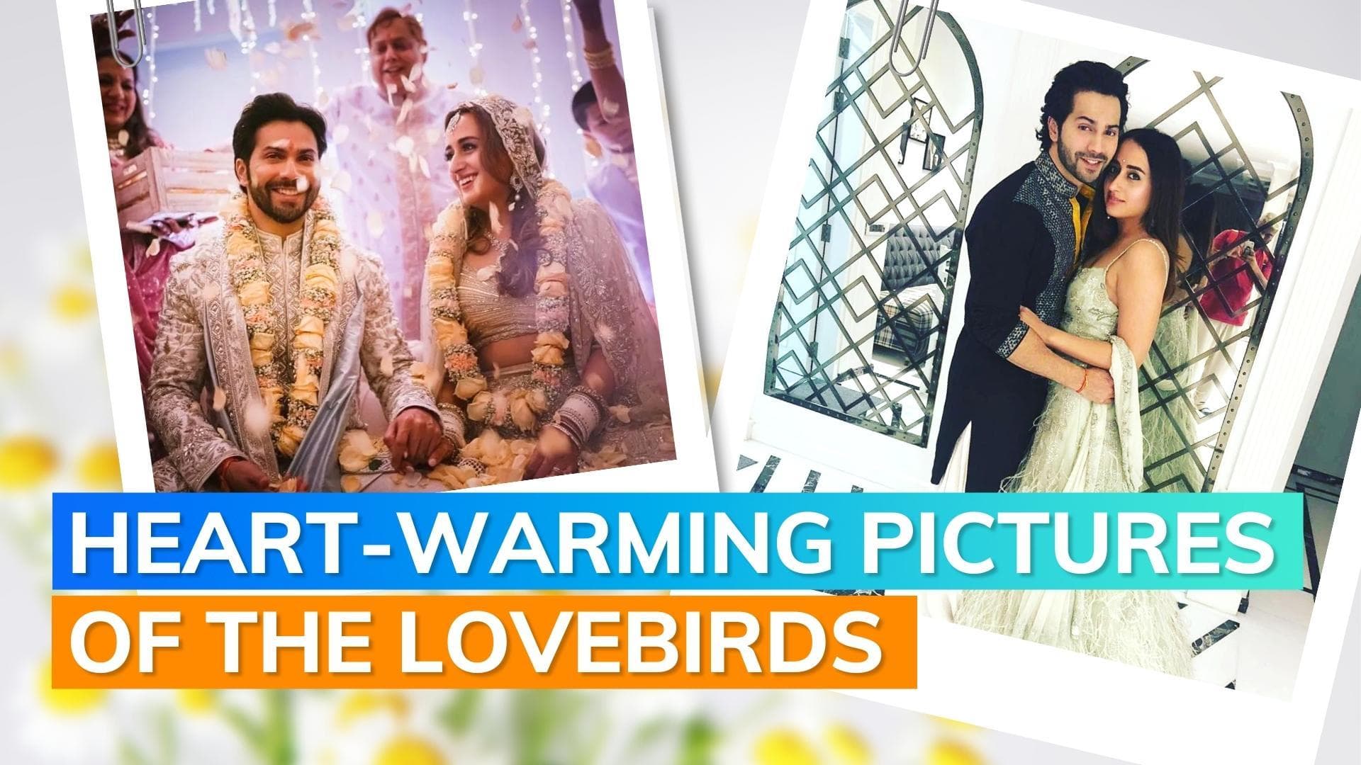 Varun Dhawan and Natasha Dalal’s love-filled pictures