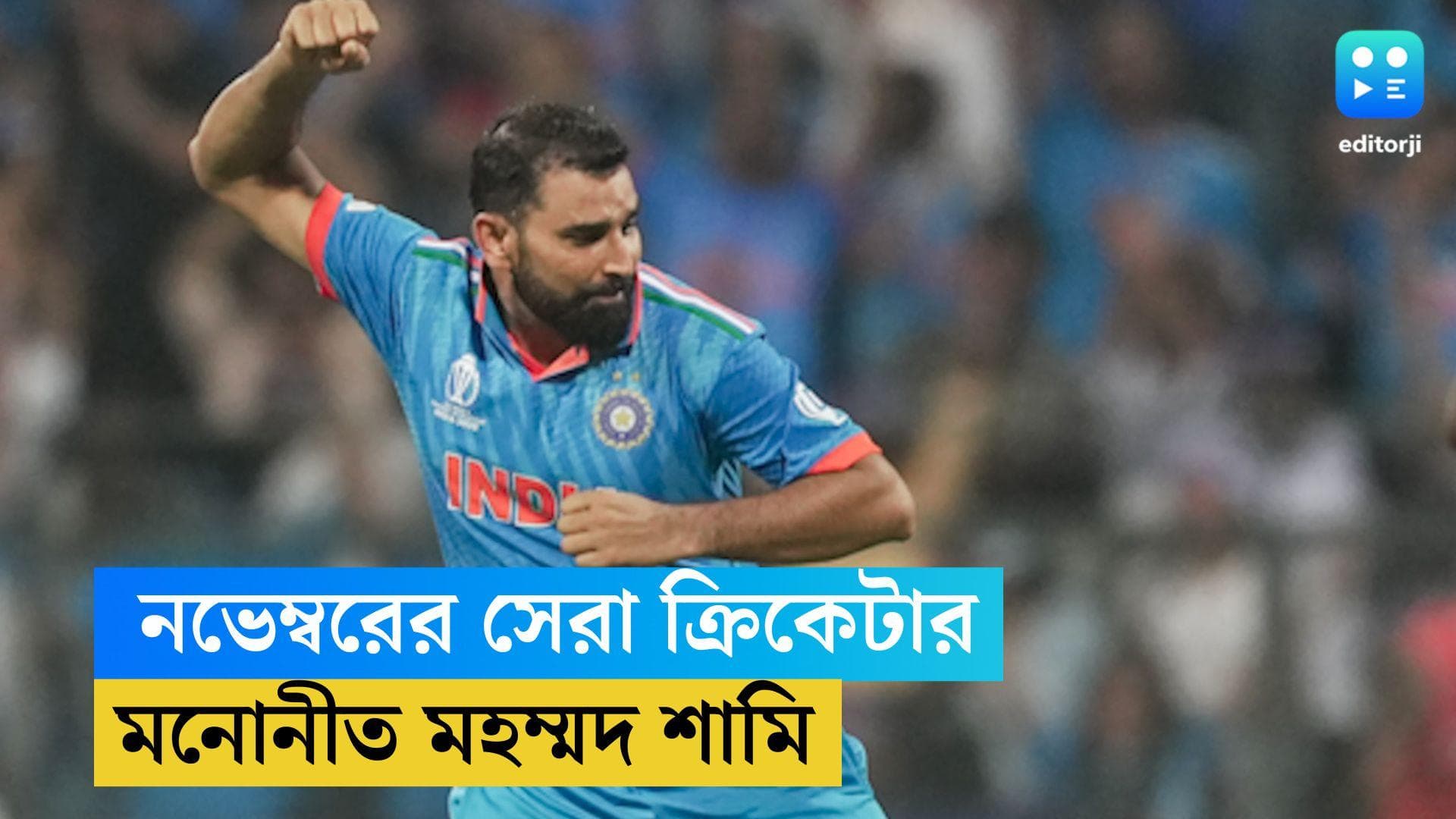 Mohammad Shami : ICC-র বড় খেতাব জিততে পারেন শামি, নভেম্বরের সেরা ক্রিকেটারের মনোনয়নে আর কে কে ?