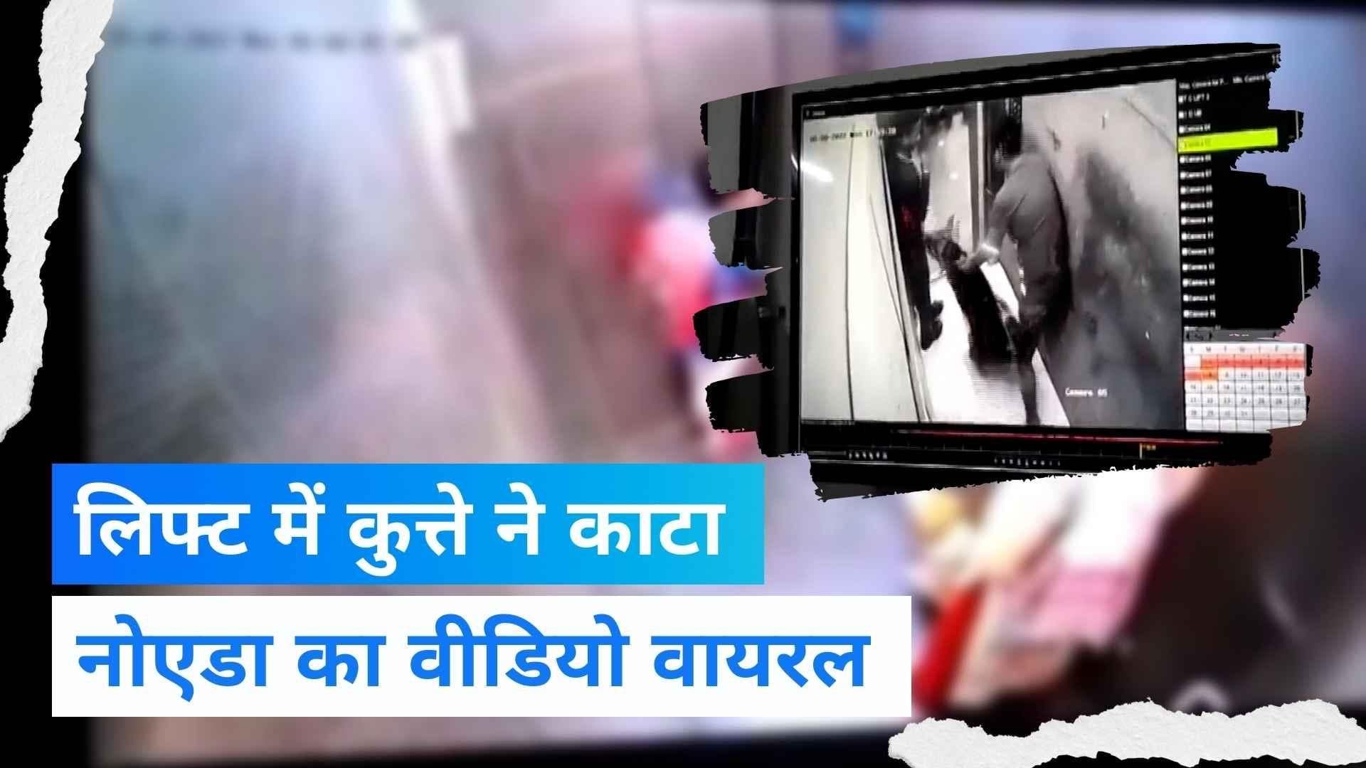 Viral Video: गाजियाबाद के बाद नोएडा में लिफ्ट में कुत्ते ने युवक को काटा, वीडियो वायरल