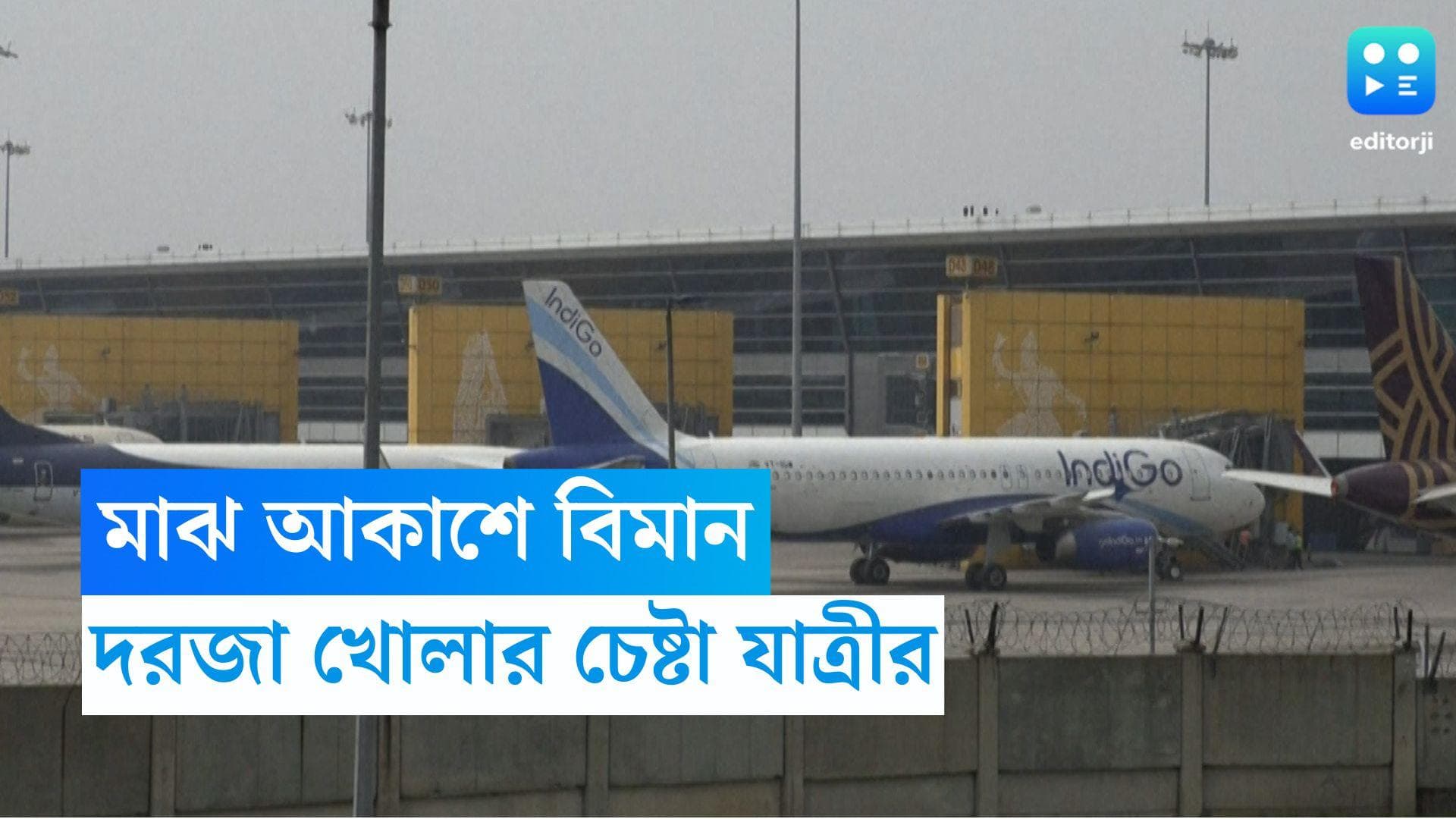 Indigo Flight: জরুরি দরজা খোলার চেষ্টা মত্ত বিমানযাত্রী, আতঙ্কিত গোটা বিমান