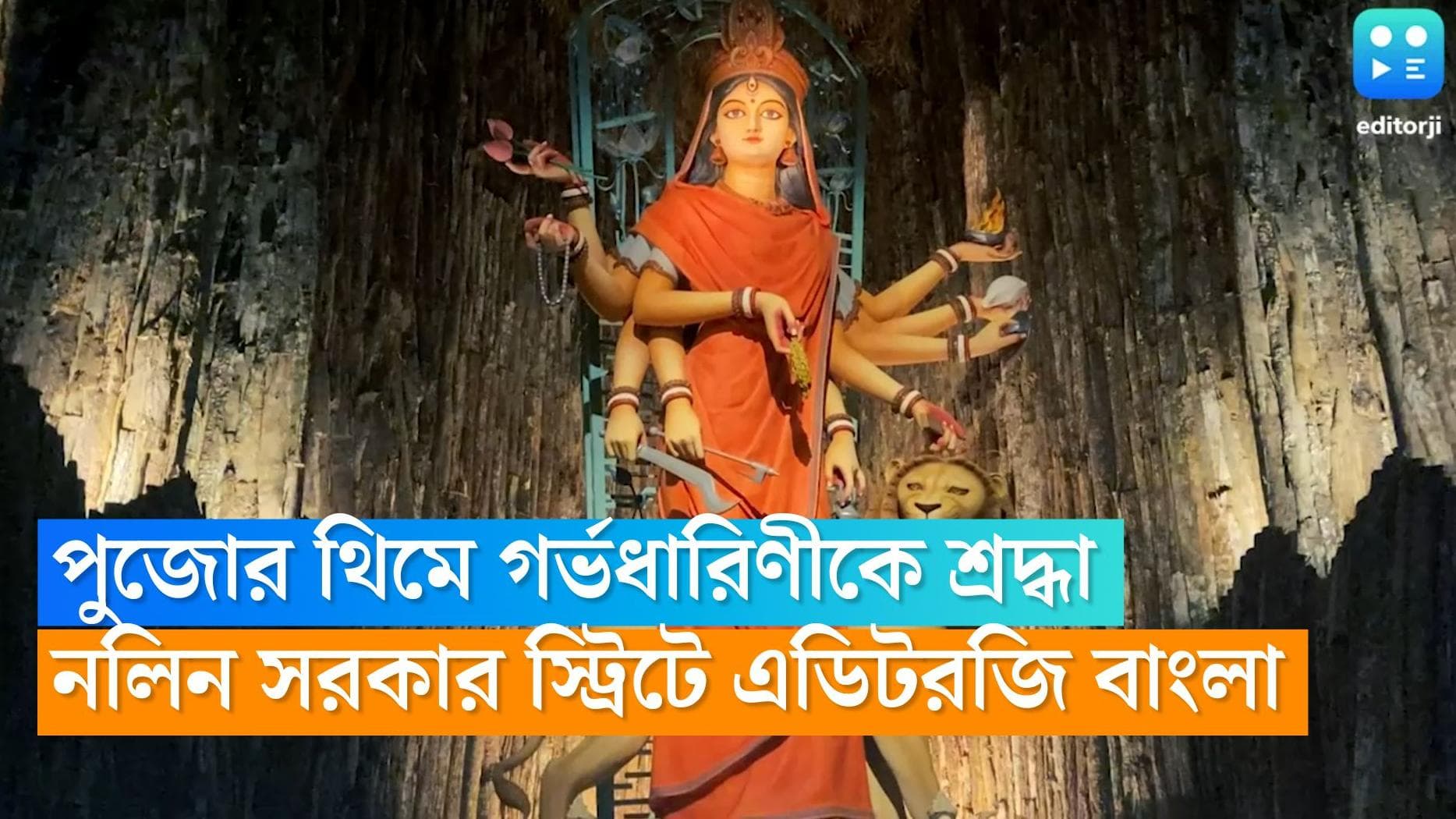 Nalin Sarkar Street Durga Puja 2022: নলিন সরকার স্ট্রিটের পুজোয় 'গর্ভধারিণী'কে শ্রদ্ধা, ঘুরে দেখল এডিটরজি