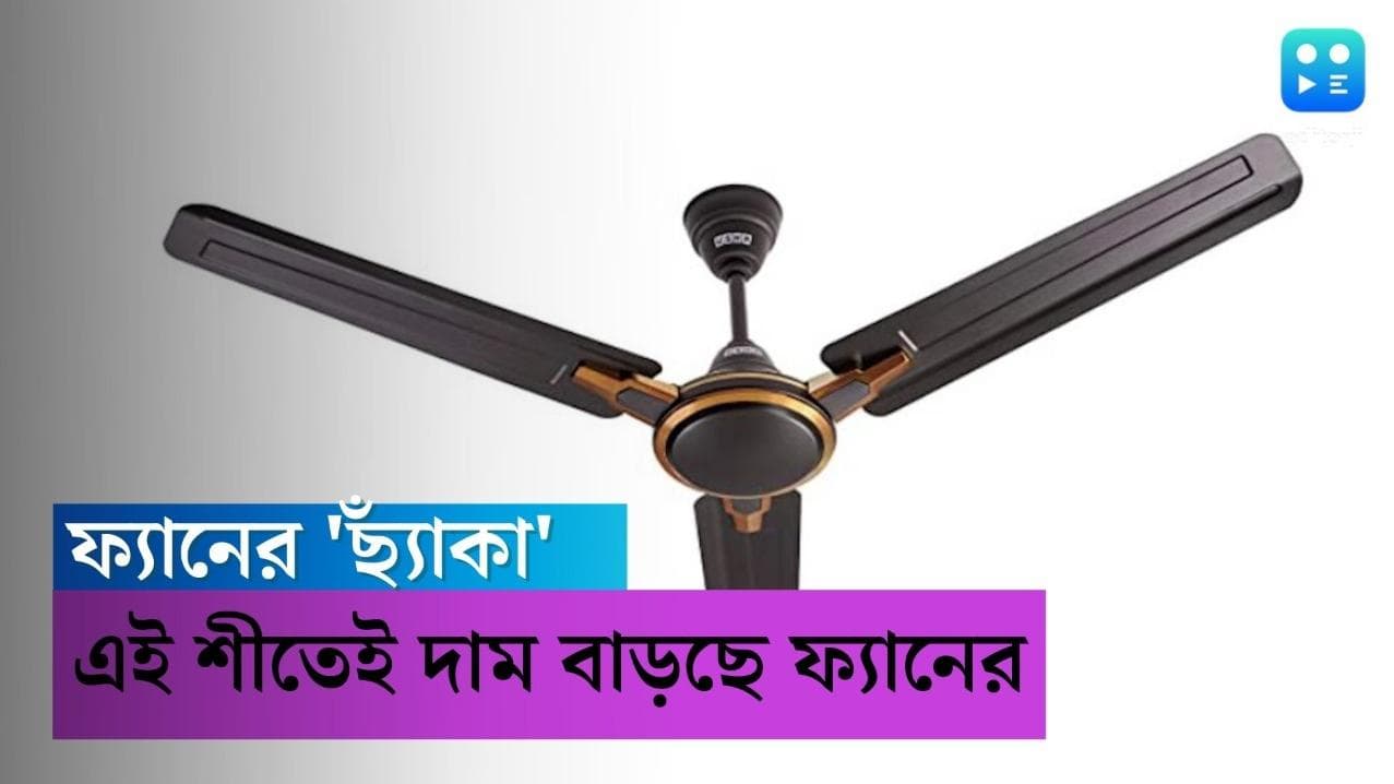Ceilling Fan Price Hike: আসন্ন গরমকালের আগেই ফ্যানের দামে ছ্যাঁকা, বাড়তে চলেছে সিলিং ফ্যানের দাম