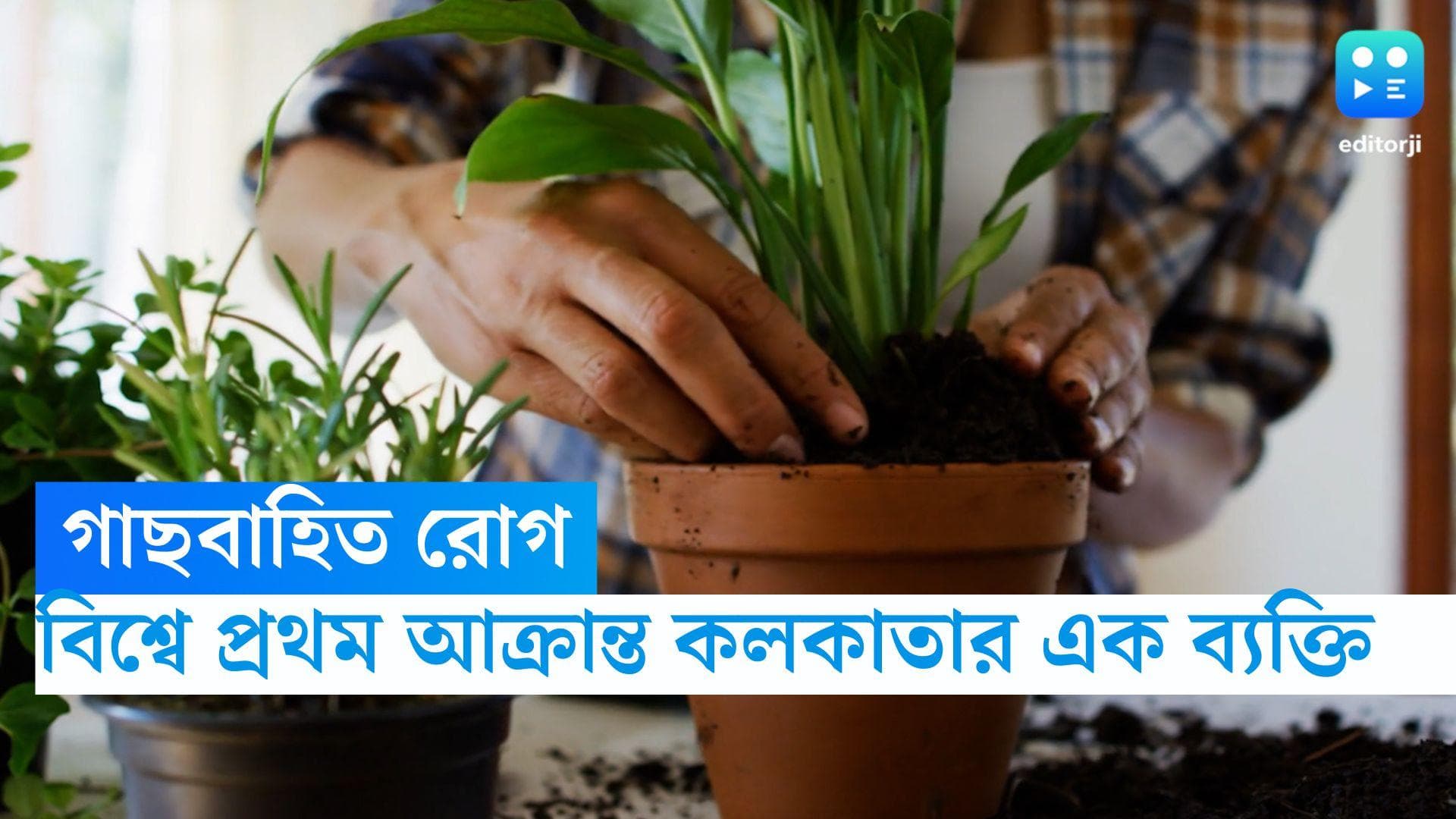 Plant Based Virus: বিশ্বে প্রথম উদ্ভিদবাহিত রোগ, ৩ মাস ধরে আক্রান্ত কলকাতার ব্যক্তি