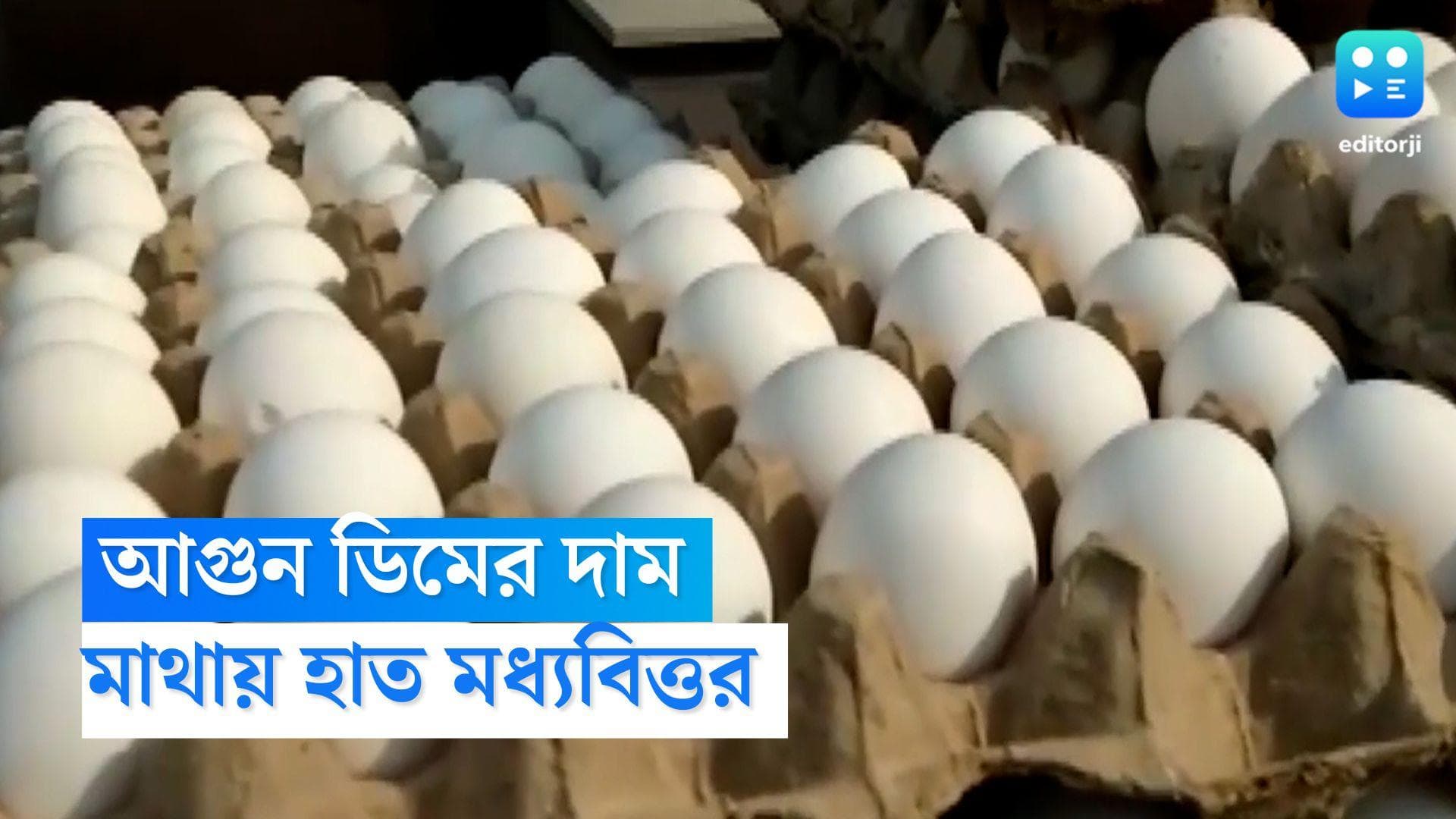 Egg Price Kolkata: ডিমের দামে আগুন, কালীপুজোর থেকেই ফের মহার্ঘ মুরগির ডিম