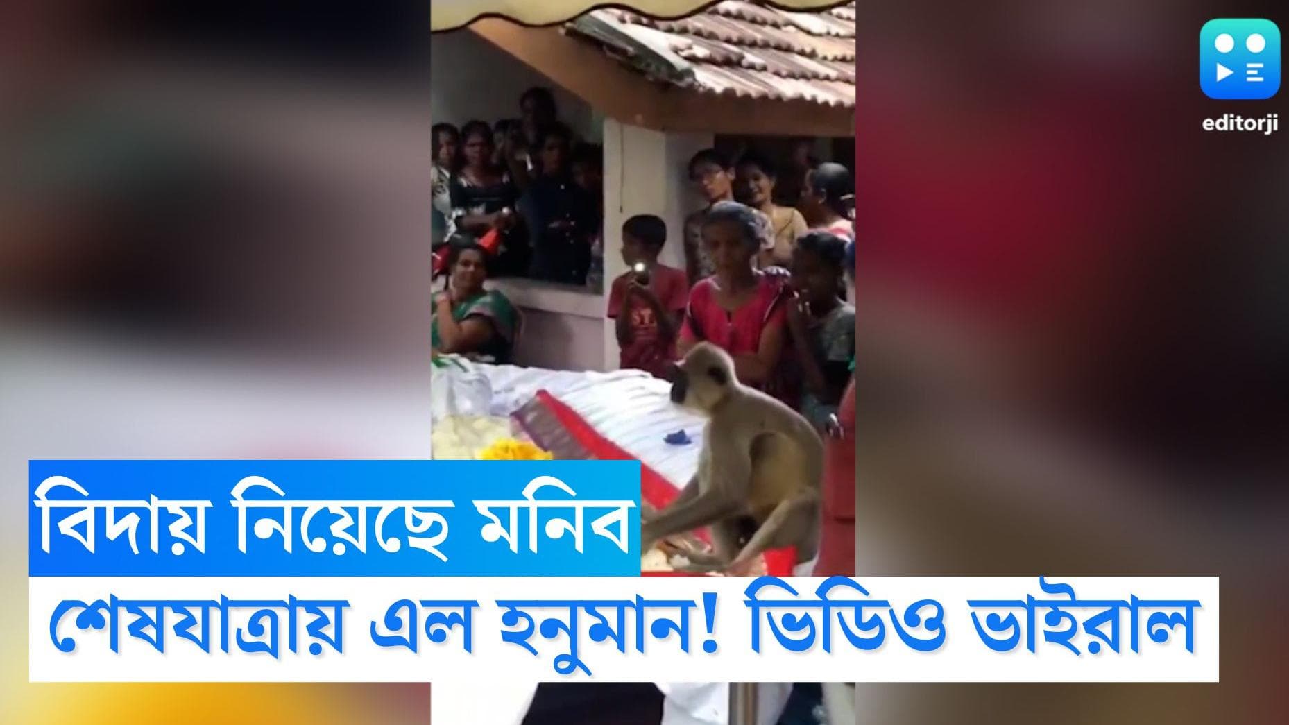 Hanuman Pays Last Tribute: বিদায় নিয়েছে বন্ধু, শেষযাত্রায় এসে শোকপ্রকাশ হনুমানের!
