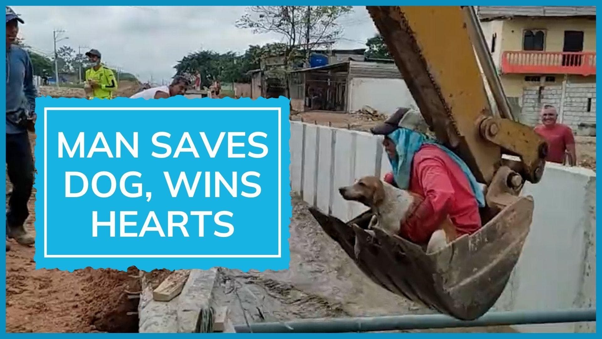 Watch: dog falls into a canal, construction workers saves its life