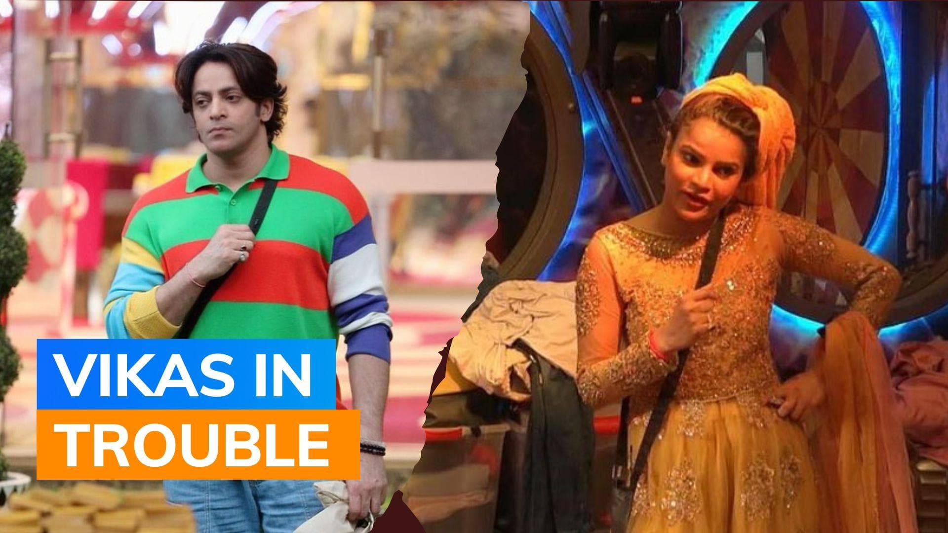 NCSC seeks action against 'Bigg Boss 16' contestant Vikkas Manaktala for casteist remark