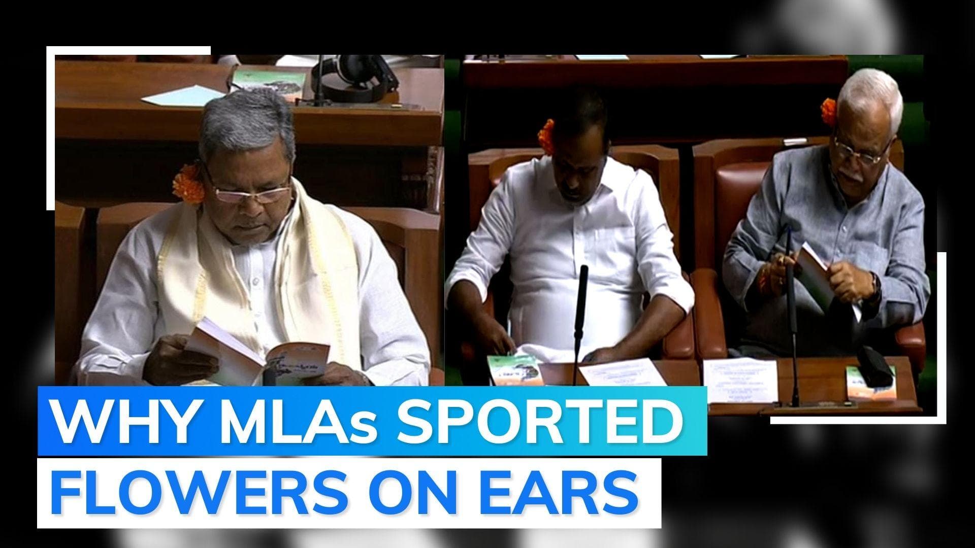 Watch: Congress MLAs tuck flowers on their ears in Karnataka Assembly for Budget speech