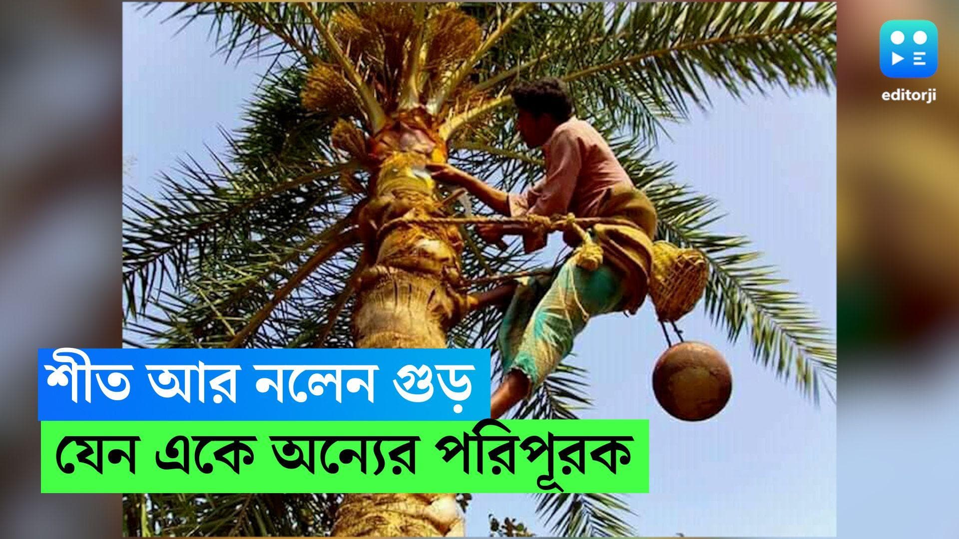 Nolen Gur sweets: শীত আর নলেন গুড়, একে অন্যের পরিপূরক, নতুন গুড়ের মিষ্টি ছাড়া বাঙালির শেষ পাত, ভাবা যায়?