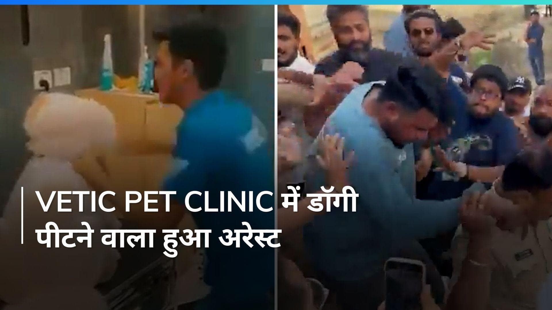 Viral:  ठाणे के Vetic Pet Clinic क्लीनिक में कर्मचारी ने कुत्ते को बुरी तरह पीटा, पुलिस ने किया अरेस्ट