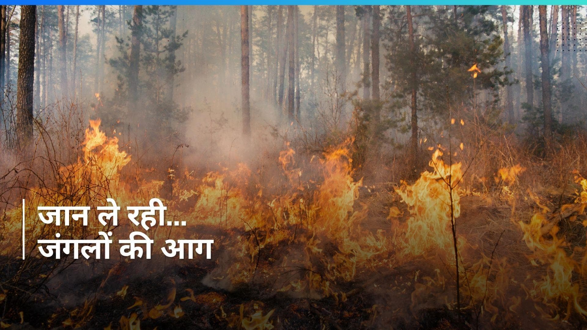 Fire: जानलेवा हुई उत्तराखंड के जंगलों की आग, अब वायु सेना से मांगी गई मदद