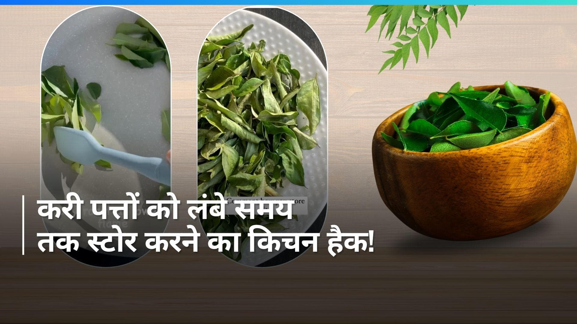 How to store Curry Leaves: 6 महीने तक खराब नहीं होगा करी पत्ता, जाने कैसे करें करी पत्ते को स्टोर