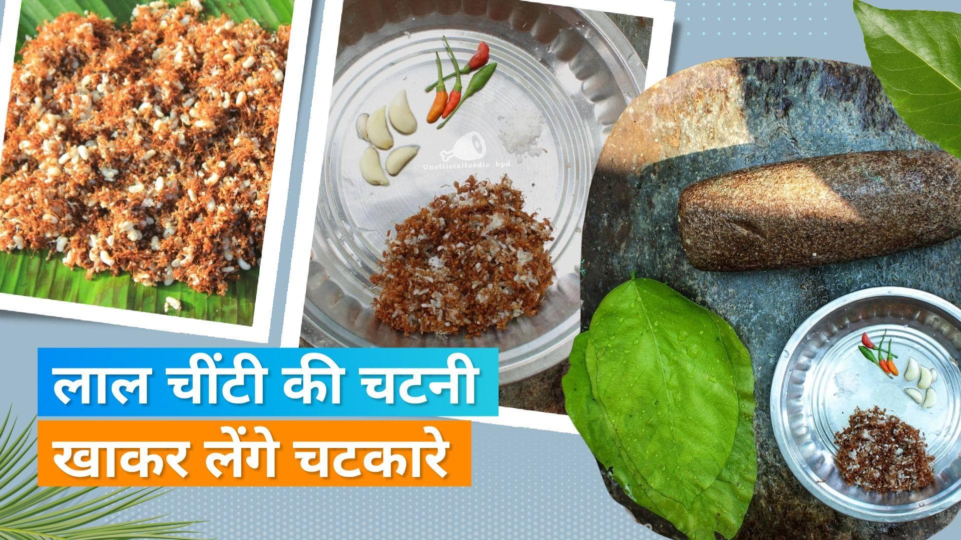 Red Ant Chutney: लाल चींटी की चटनी को मिला GI टैग, ओडिशा में खूब चाव से खाते हैं लोग