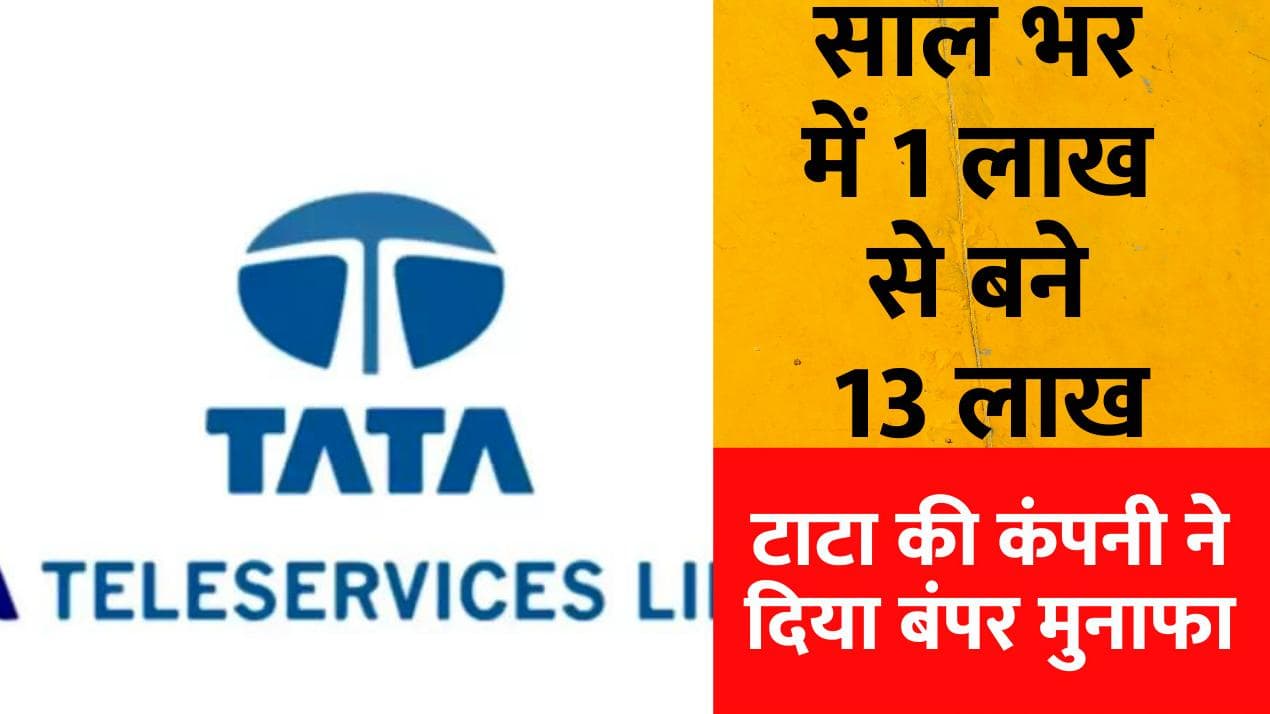 Tata Group की इस कंपनी ने दिया छप्परफाड़ मुनाफा, साल भर में 1 लाख के बनाए 13 लाख