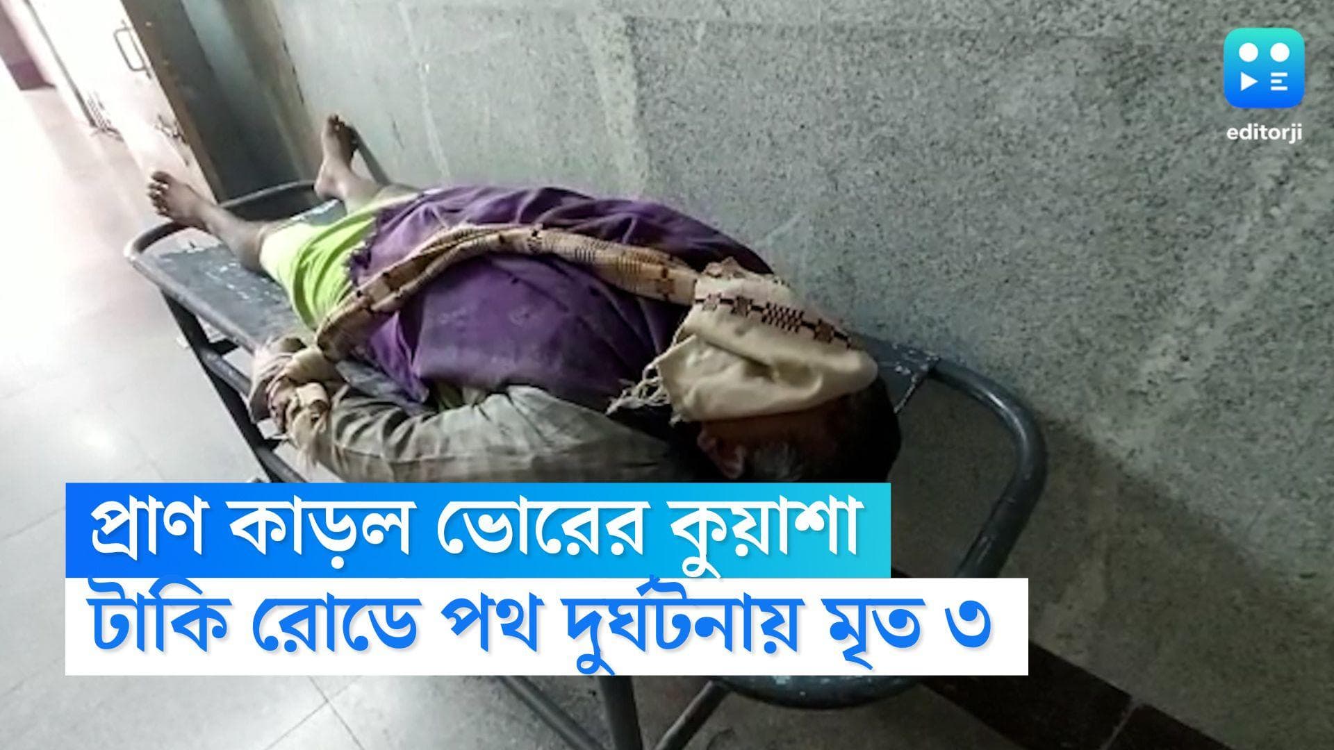 Basirhat News: প্রাণ কাড়ল ভোরের কুয়াশা, বসিরহাটের টাকি রোডে পথ দুর্ঘটনায় মৃত ৩ কলমিস্ত্রি