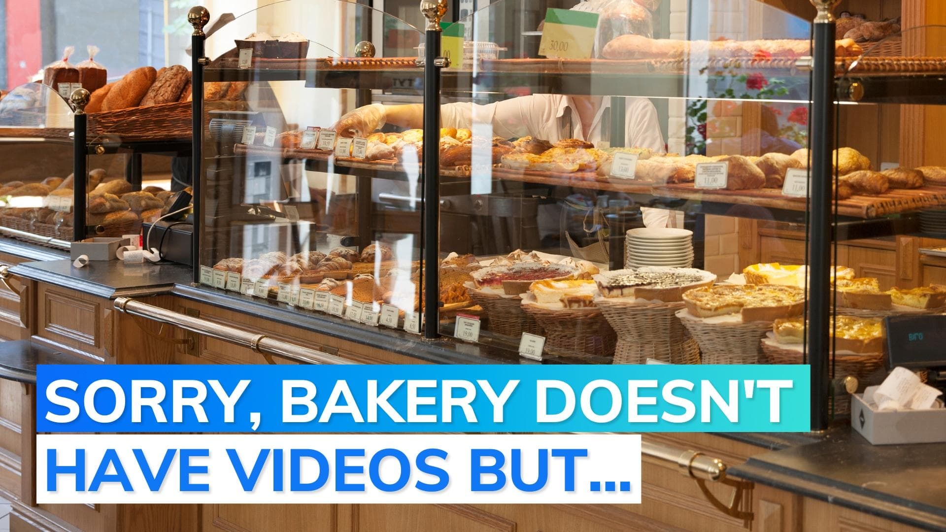 Bear barges into US bakery, eats 60 cupcakes before leaving