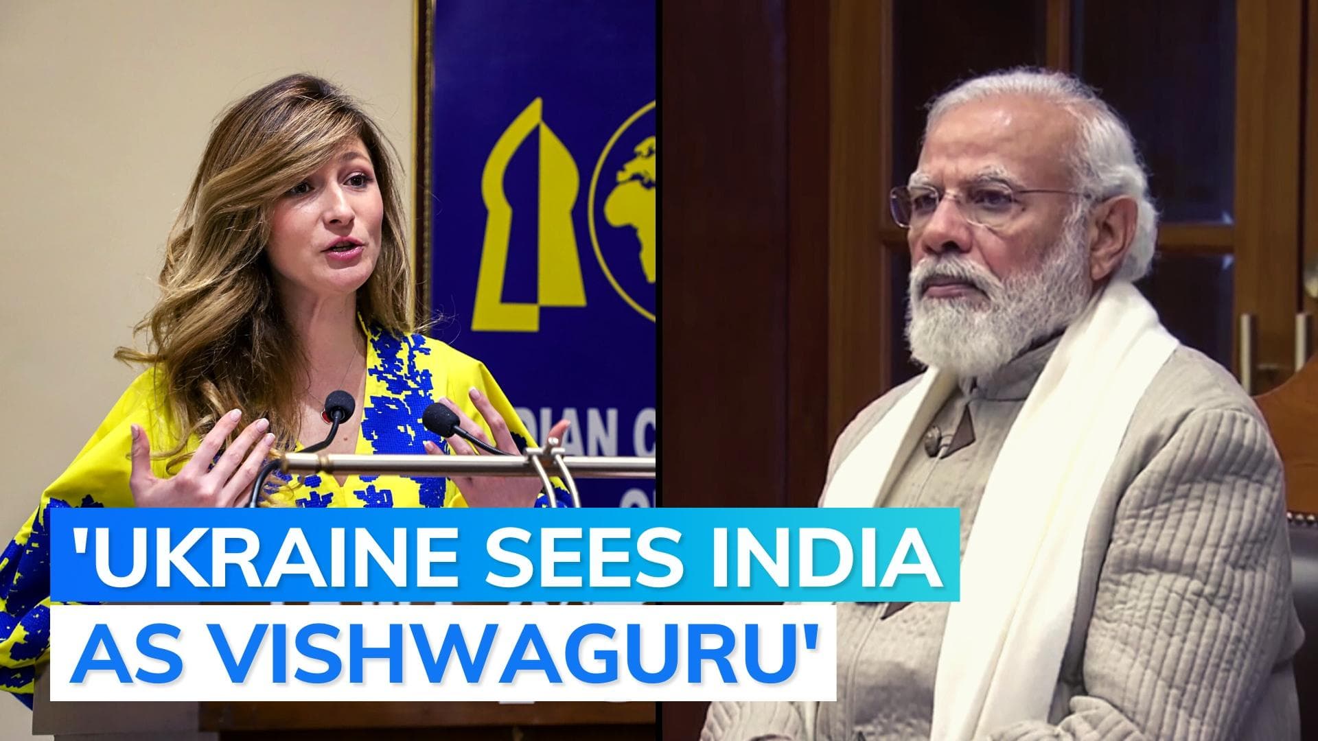 'Being with Russia is...': Ukraine minister's warning during India trip