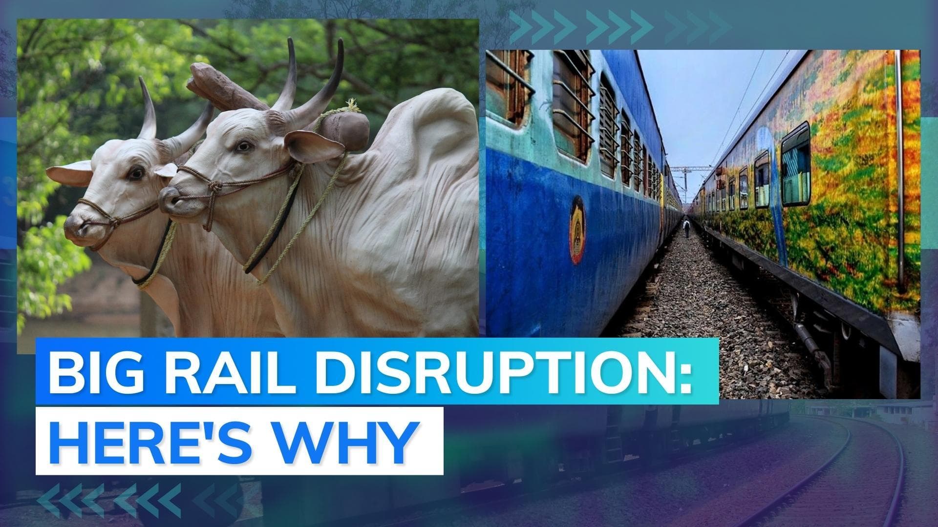 Brahmaputra Mail hits bull, all trains on route suspended for 10 hours