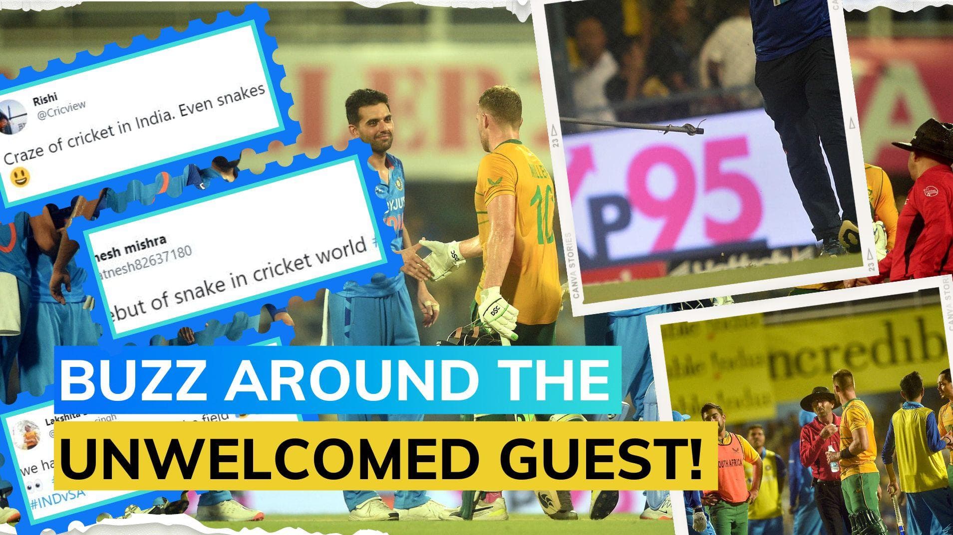 IND vs SA: 'Grand debut', Netizens left in splits after snake halted match in Guwahati