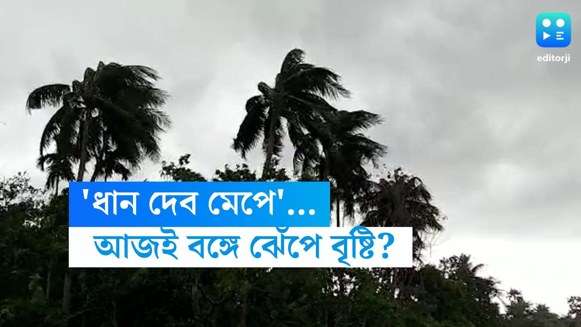 Rain Forecast: 'এই কপালের সমস্ত তাপ বরষা দেবে ধুয়ে', অবশেষে রোদের তেজ কমতেই আকাশের মুখ ভার, আজই বৃষ্টি?