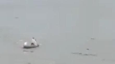 Bihar के गोपालगंज और दरभंगा में दो अलग-अलग नाव पानी में समाई, 2 लोग लापता