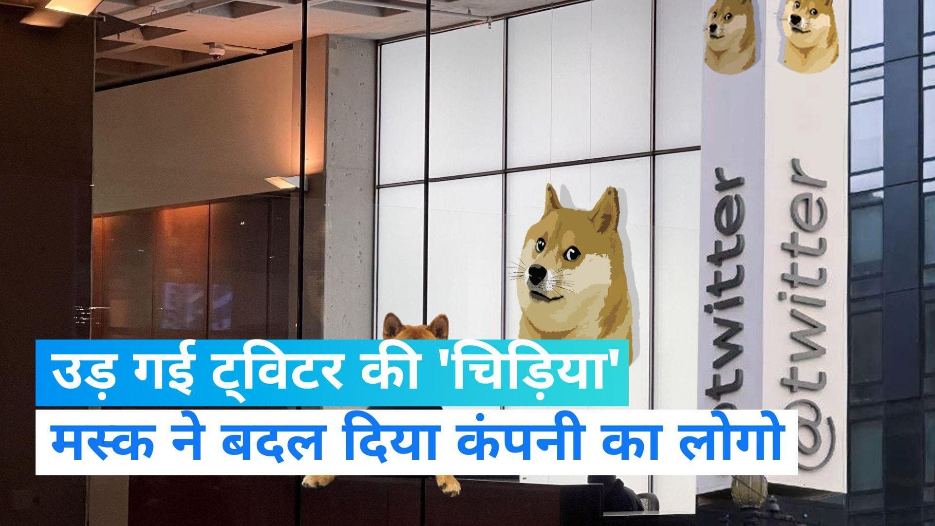 Twitter logo Chaned: ट्विटर में बड़ा बदलाव, एलॉन मस्क ने बदल दिया कंपनी का लोगो