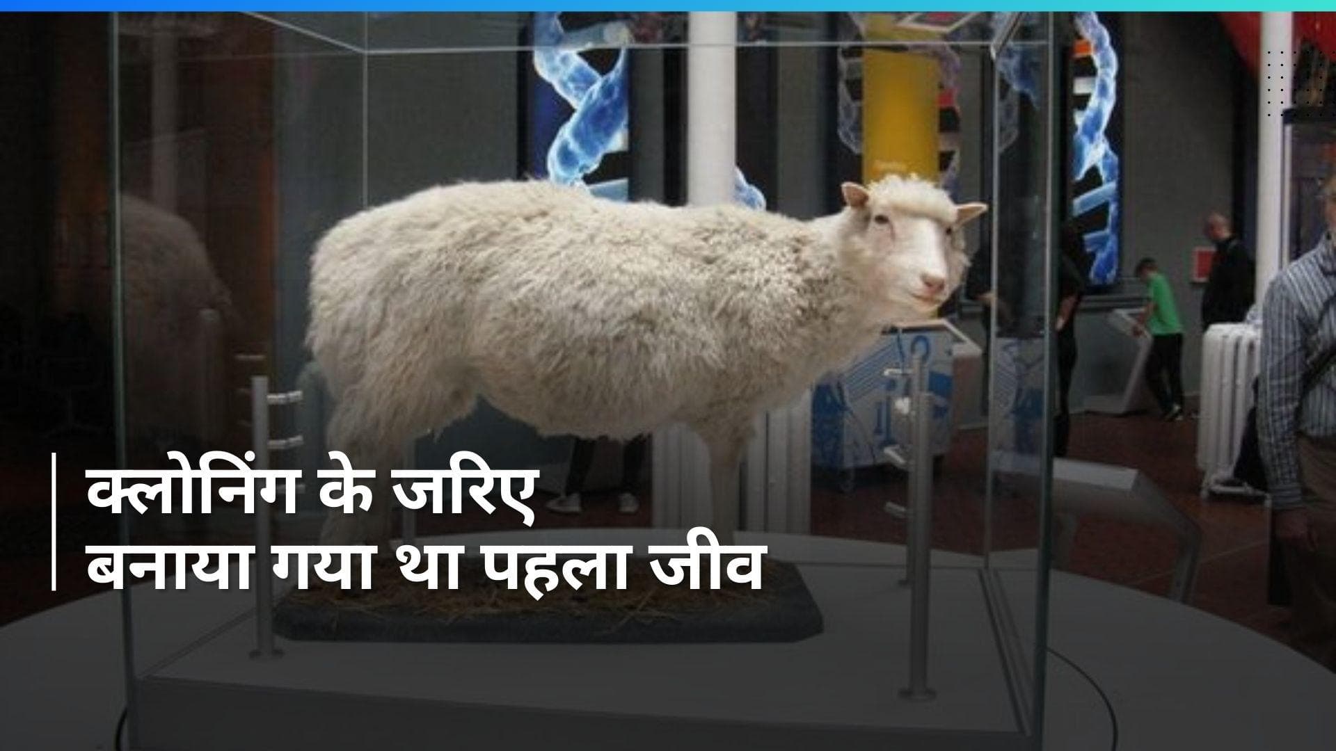 On This Day in History 22 Feb: लैब में बनाई गई थी पहली भेड़ 'डॉली', बांग्लादेश को पाक ने दी थी मान्यता 