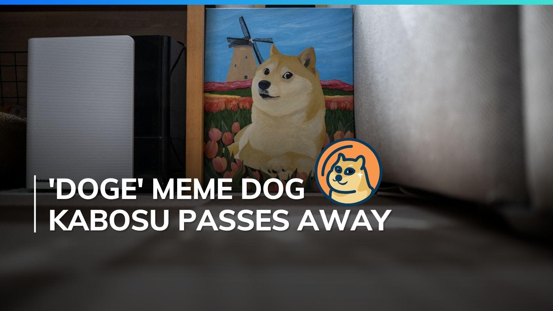 Japanese dog of 'Doge' meme fame dies