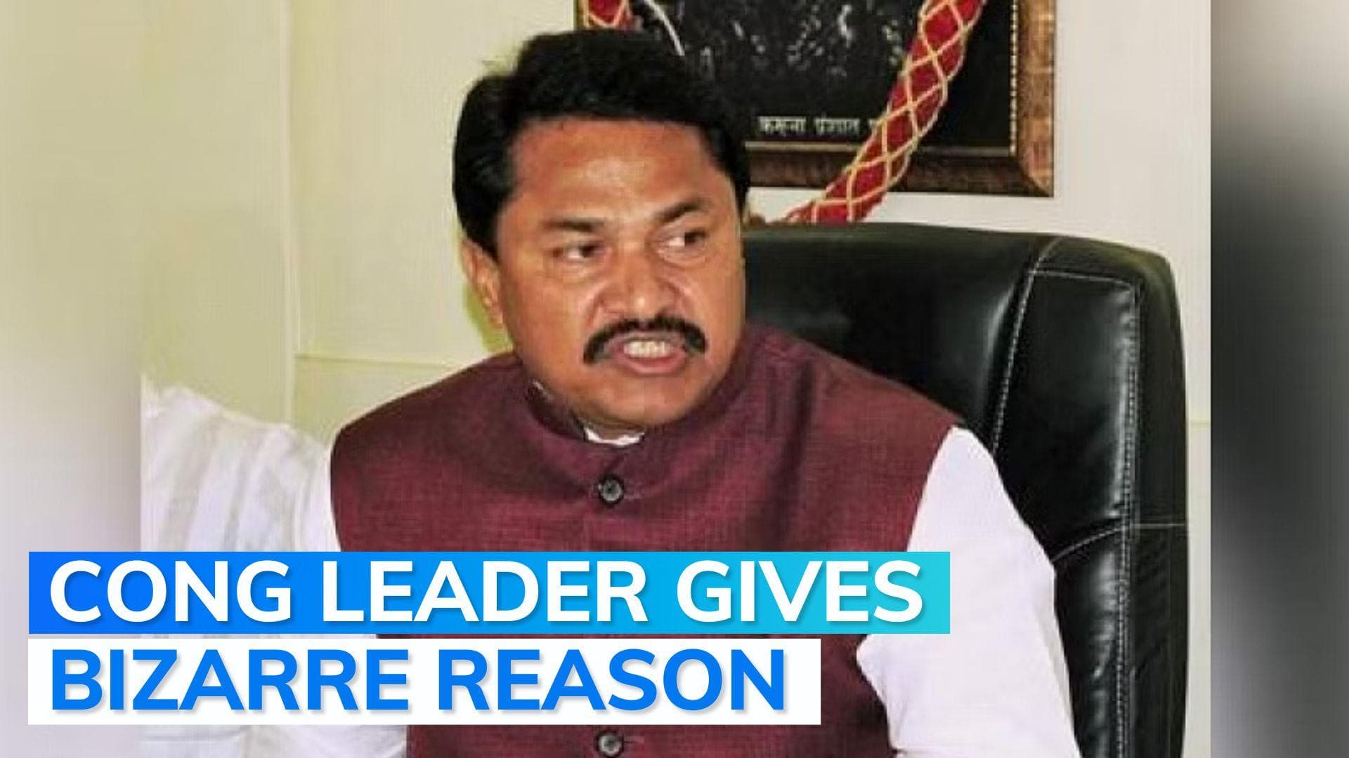 Maha Congress chief Nana Patole blames Centre for spread of Lumpy disease in India