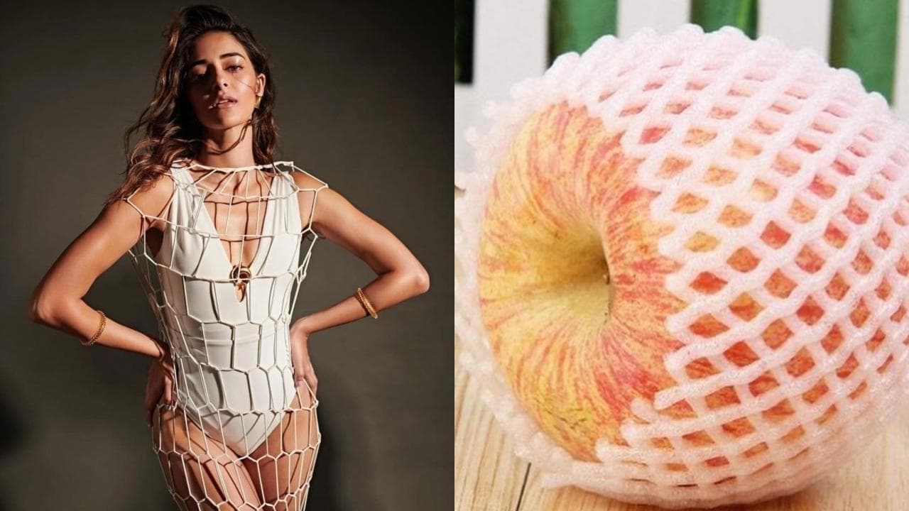 Ananya Panday raises the temperature in a white monokini with net, refers to herself as a fruit