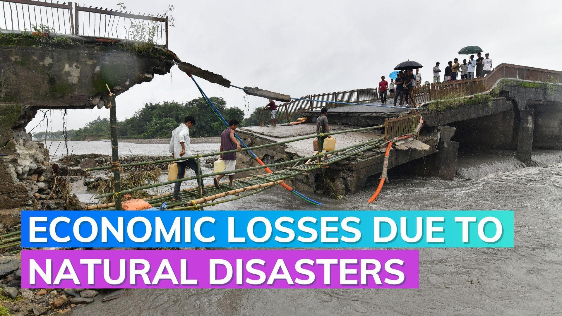 Floods in India: Economic loss estimated to be up to ₹15,000 crore says SBI report 