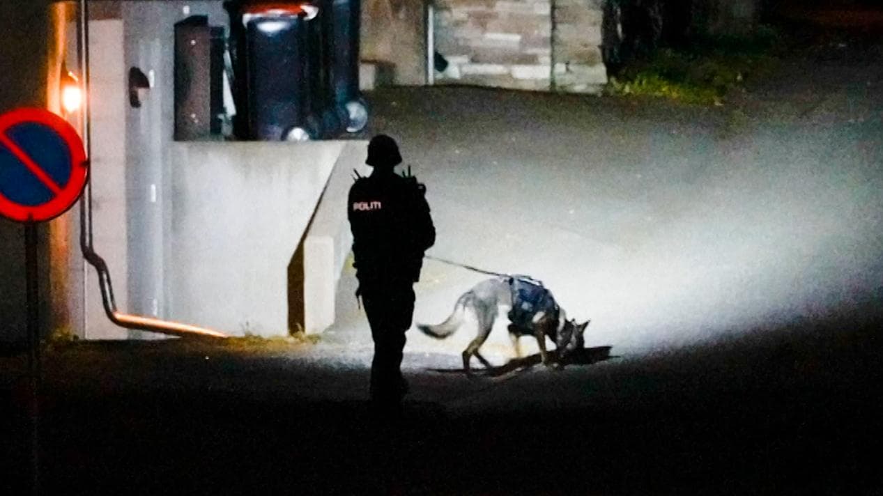 Norway: 5 killed, many injured in bow & arrow attack