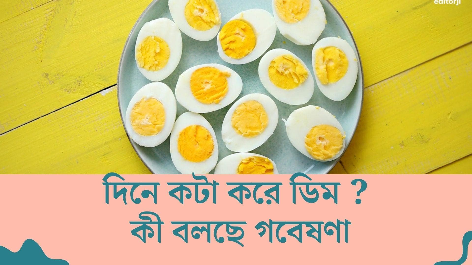New Study On Egg : রোজ ডিম খাওয়া কি উচিৎ ? কী বলছেন বিশেষজ্ঞরা ?