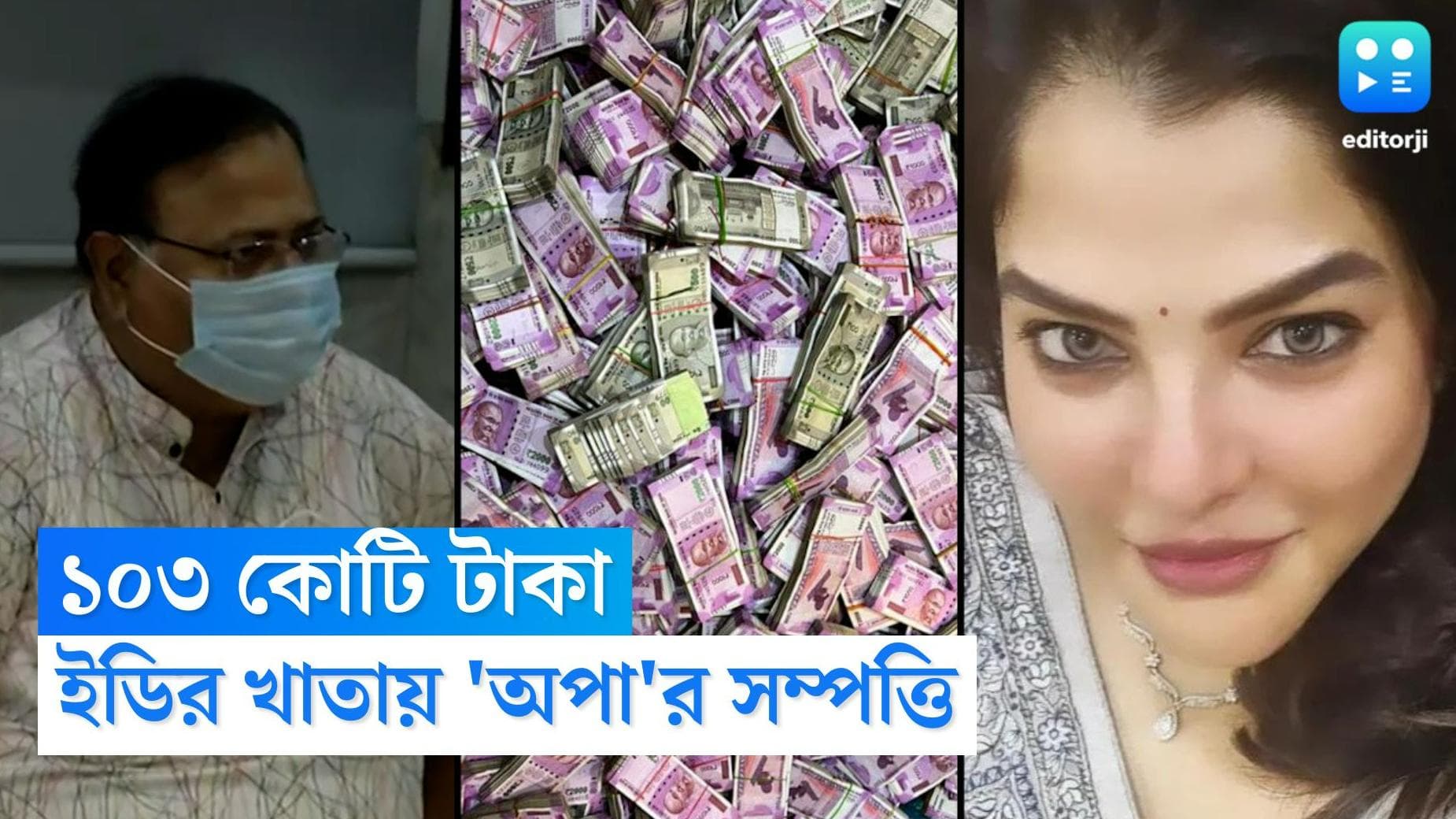 Partha Chatterjee: ১০৩ কোটির পার্থ-অর্পিতা, চার্জশিটে দাবি ইডির 