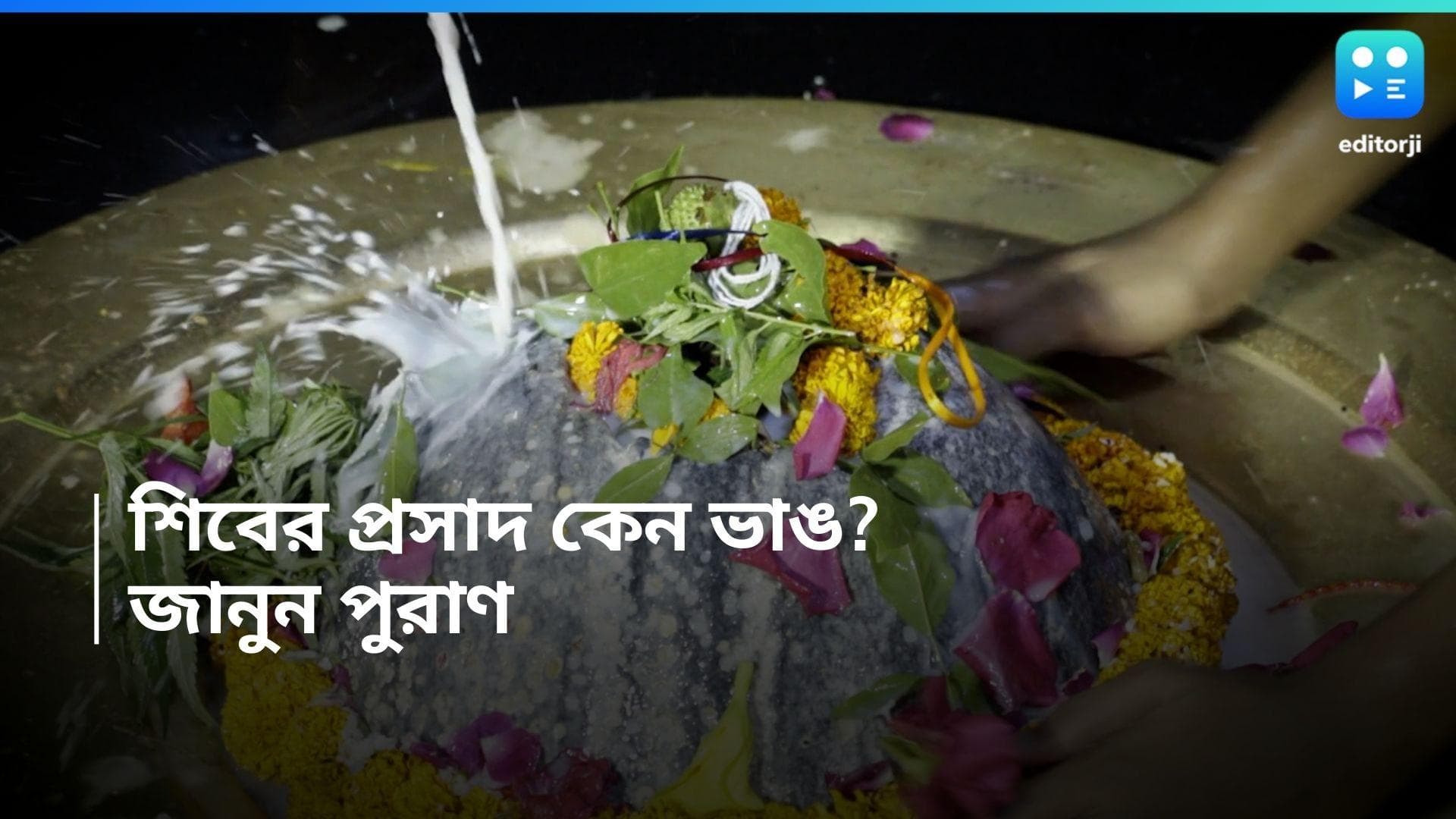 Maha Shivratri 2024 : শিবের মহাপ্রসাদ হিসেবে কেন ভাং নিবেদন করা হয়, জানুন পৌরাণিক কাহিনি