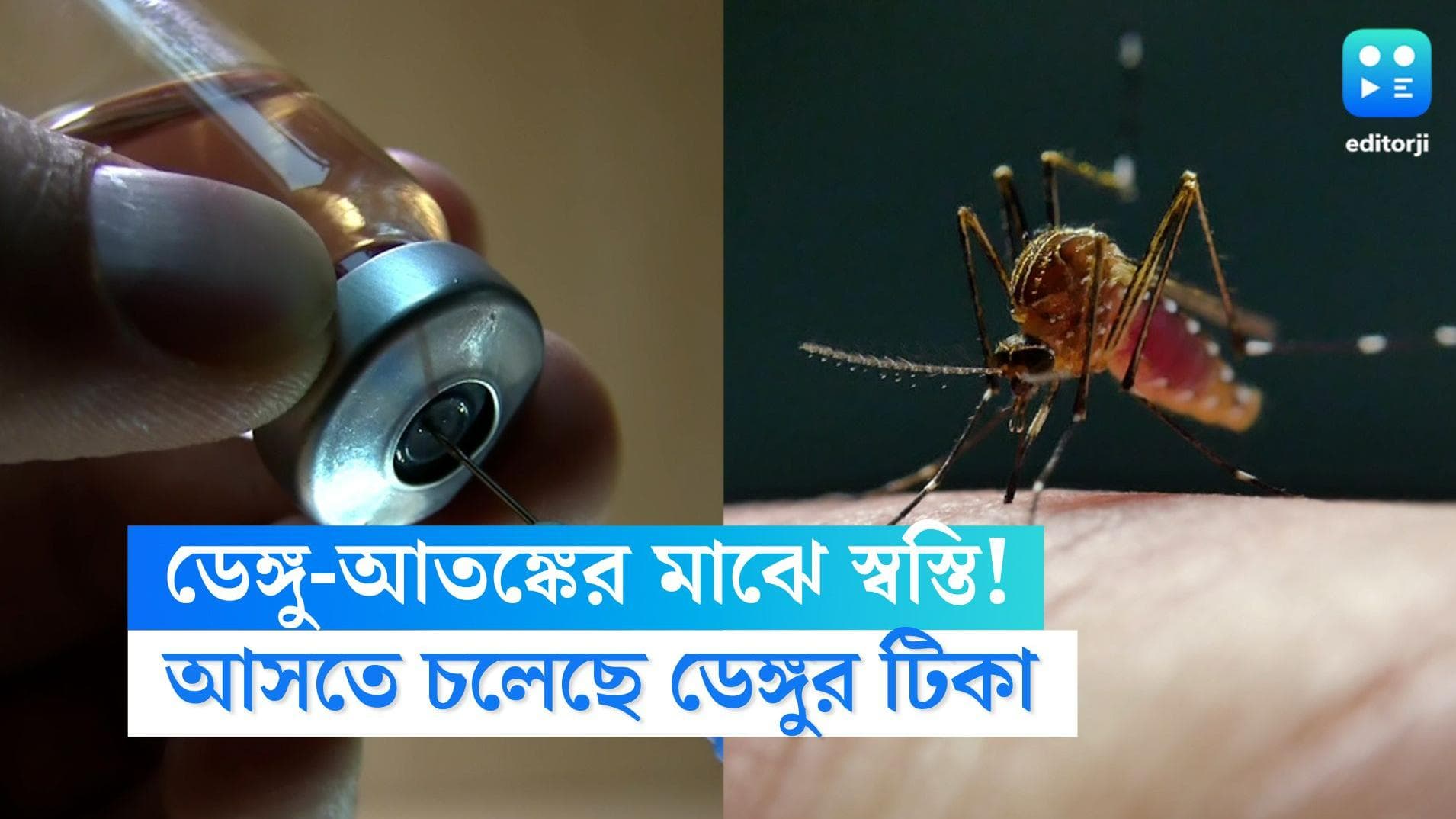 Dengue Vaccine: আতঙ্কের মাঝেই সুখবর! বাজারে আসতে চলেছে ডেঙ্গুর টিকা