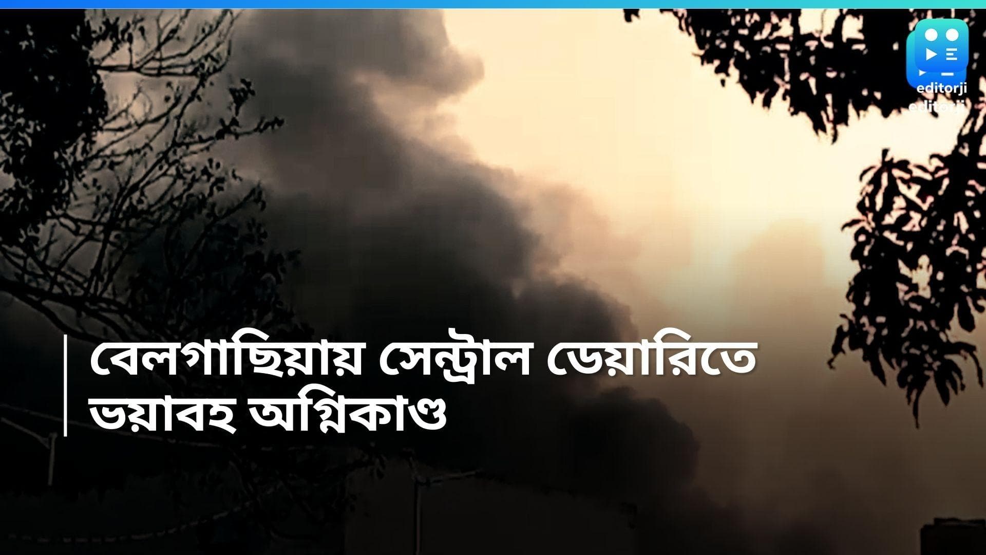 Belgachia Fire Break Out: বেলগাছিয়ার সেন্ট্রাল ডেয়ারিতে ভয়াবহ অগ্নিকাণ্ড,ঘটনাস্থলে দমকলমন্ত্রী সুজিত বসু