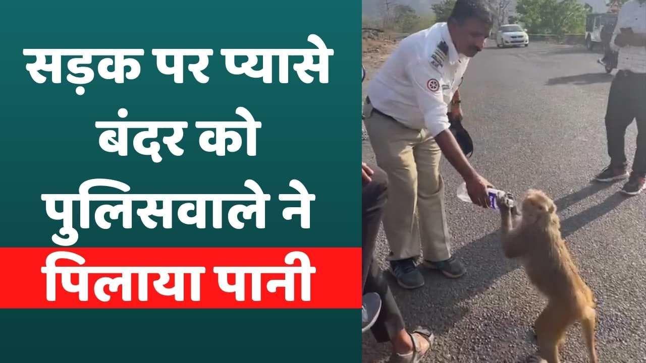 Viral Video: झुलसाती गर्मी में प्यास से तड़प रहा था बंदर, पुलिसवाले ने पिलाया पानी