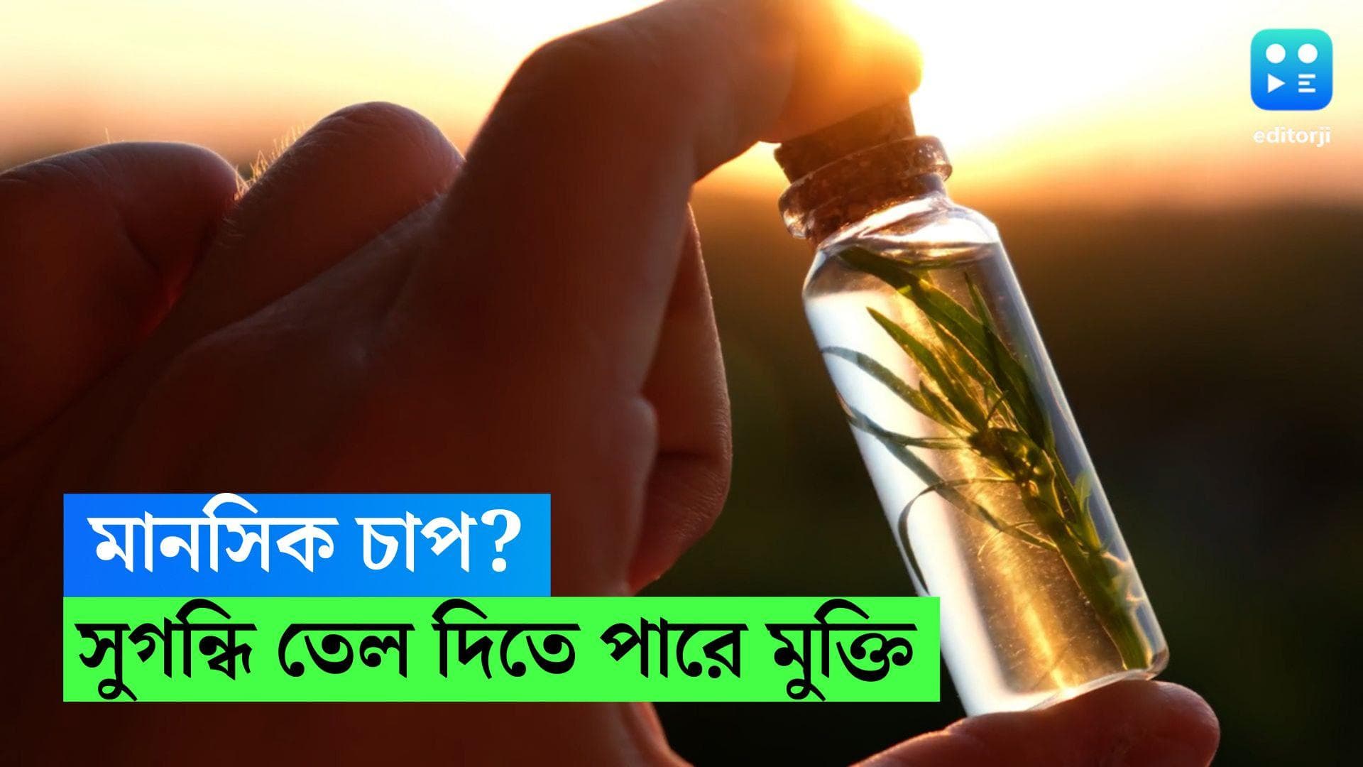 Essential Oil for Stress Reduction: মানসিক চাপ? সুগন্ধি তেল দিতে পারে মুক্তি